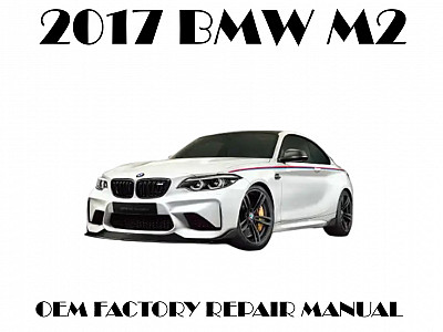 2017 BMW M2 repair manual