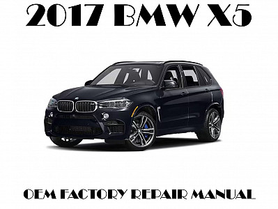 2017 BMW X5 repair manual